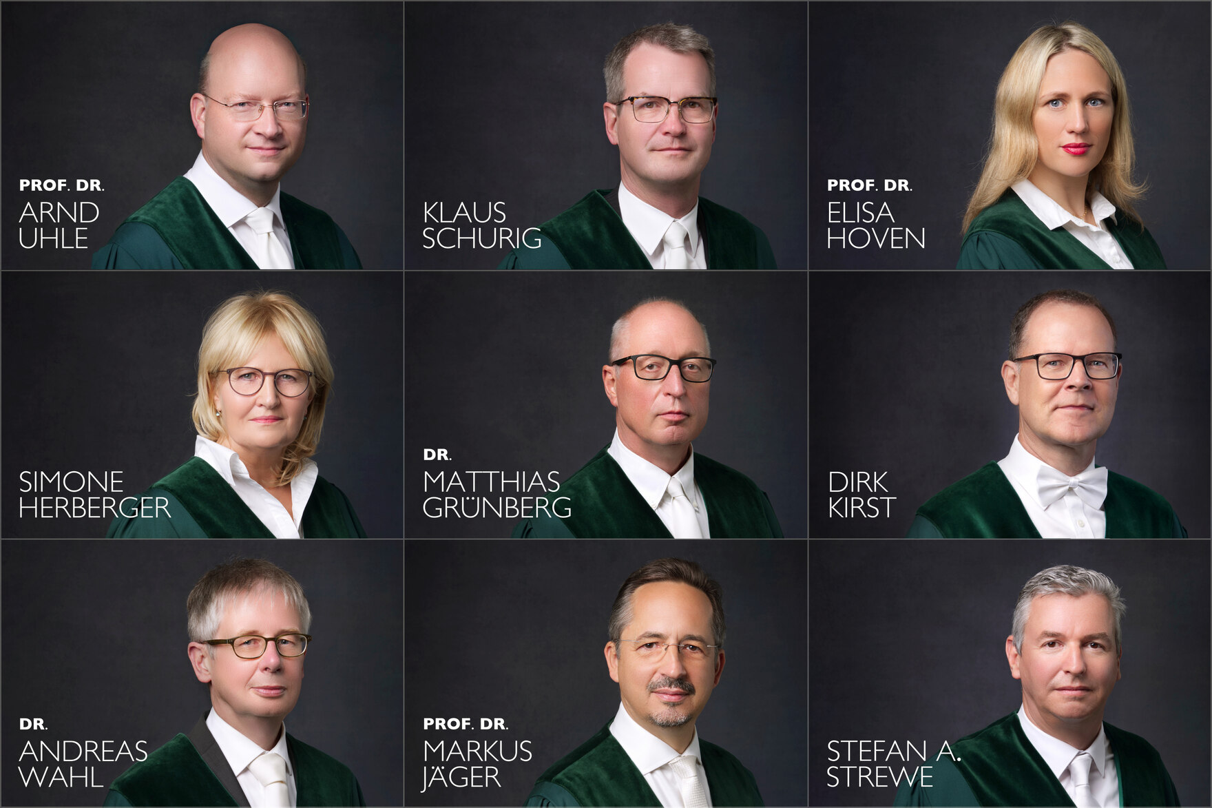 Die Mitglieder des Verfassungsgerichtshofes des Freistaates Sachsen (ohne Stellvertreter)